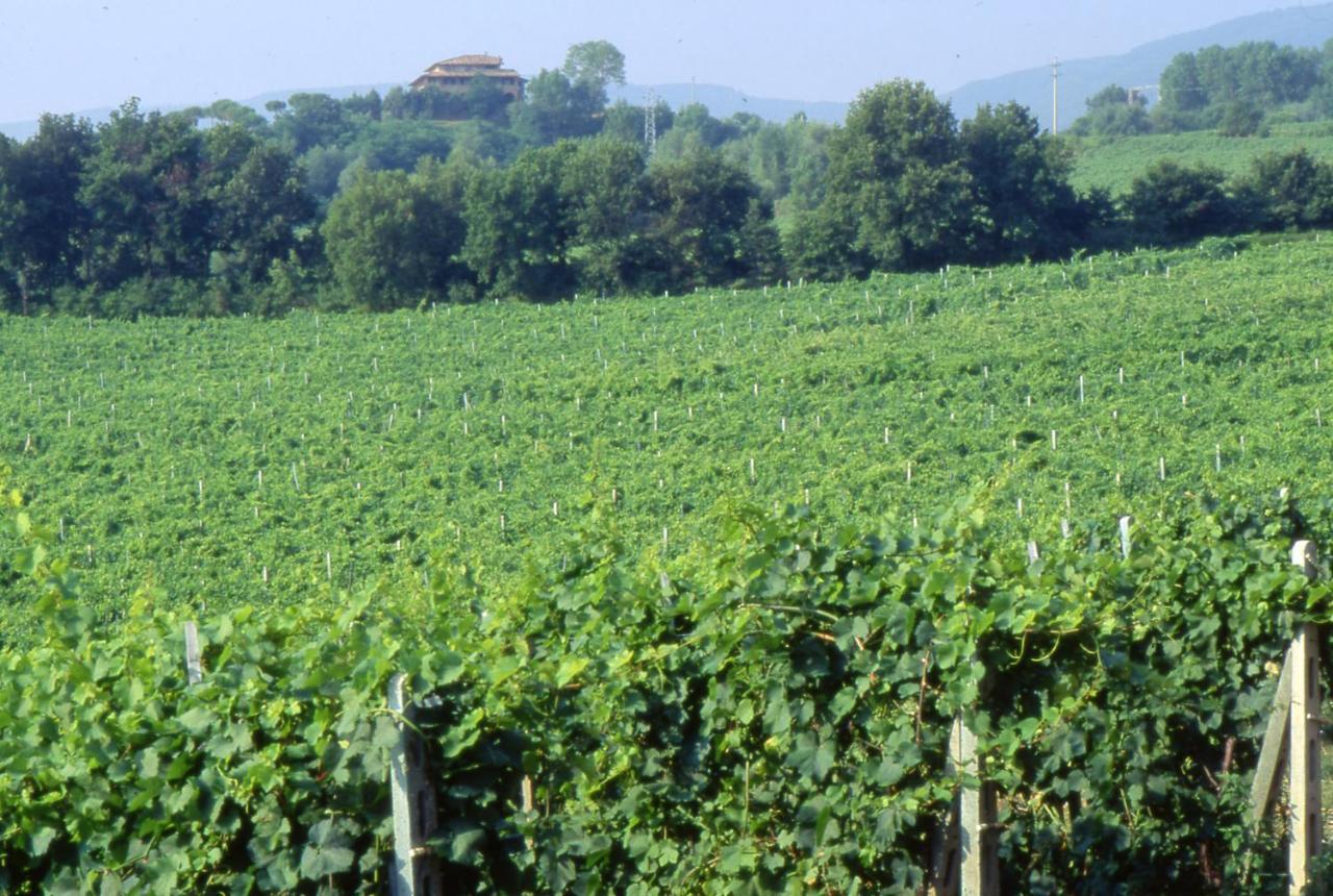 Agriturismo Palazzo Bandino - Wine Cellar, On Reservation Restaurant And Spa Βίλα Chianciano Terme Εξωτερικό φωτογραφία