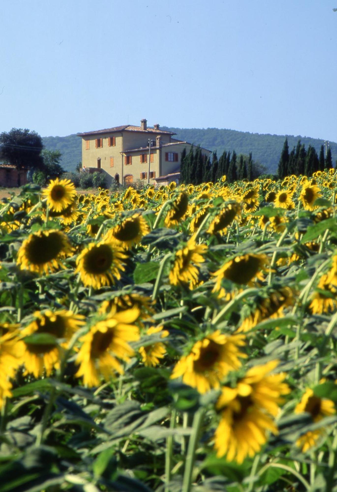 Agriturismo Palazzo Bandino - Wine Cellar, On Reservation Restaurant And Spa Βίλα Chianciano Terme Εξωτερικό φωτογραφία