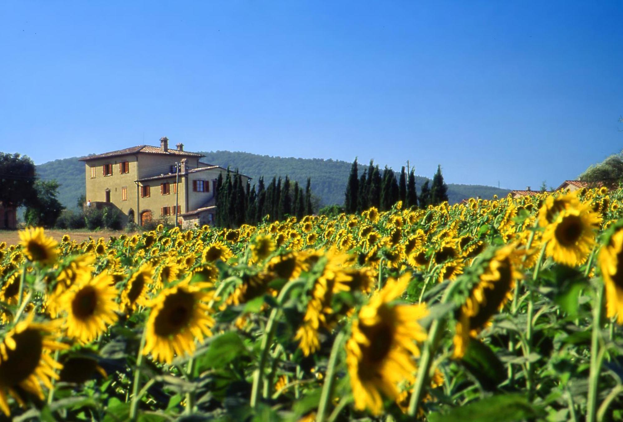 Agriturismo Palazzo Bandino - Wine Cellar, On Reservation Restaurant And Spa Chianciano Terme Εξωτερικό φωτογραφία